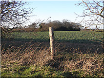 TA0416 : Near Burnham Beeches Farm by David Wright