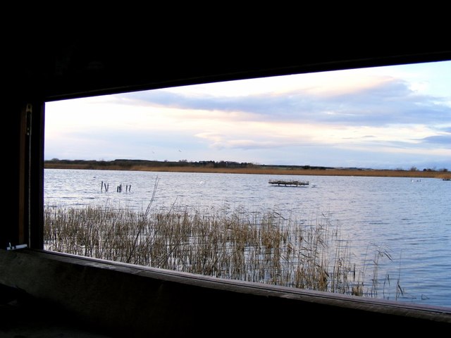 The View from the Bird Hide