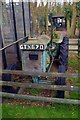 Old Fordson tractor