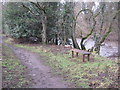 Riverbank seat next to the Weardale Way