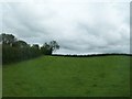 J3939 : Farmland alongside Castlewellan Road, Clough by Eric Jones