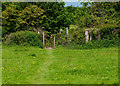 Footpath and Kissing Gate, Aberthin