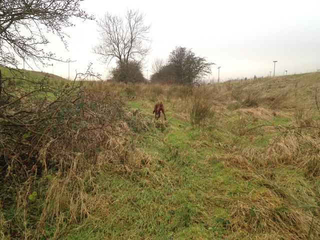 Auld cley road, Carrickstone, Cumbernauld, beginning of evident hedgerow on both sides, unmodernised