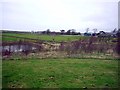 Pond and woodland south-east of Clement Leazes