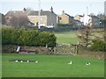 Duck pond in a field near High Flatts