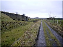 NY5857 : Track near Foresthead Quarry lime kilns by Andrew Curtis