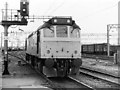 Class 25 at Bescot, 1983