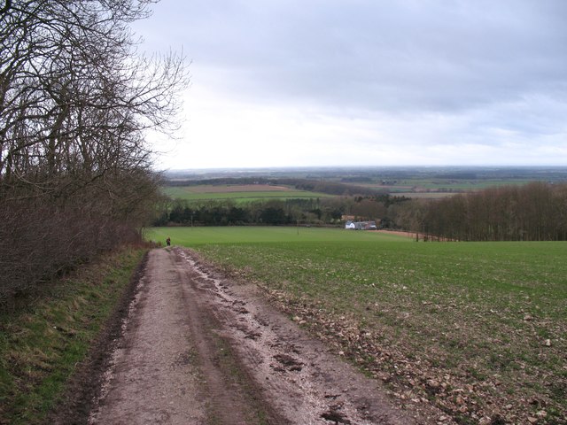The Wolds Way at Warrendale Plantation