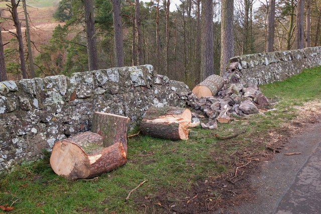 Storm damaged wall, Glencorse