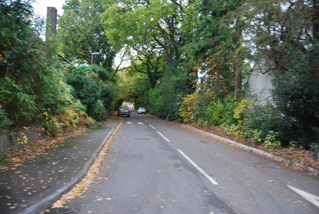 Linsford Lane