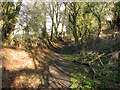 Sunken path to Capel Road, Bentley