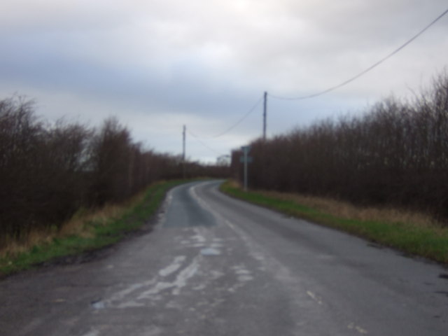 Lotherton Lane towards Aberford