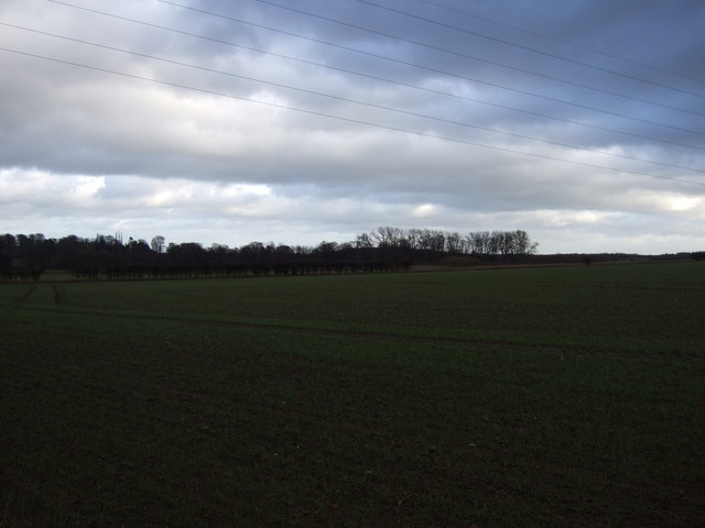 Farmland off Collier Lane