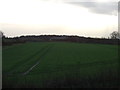 Farmland near the M1