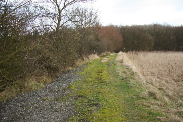 Track near Cocklode Wood