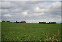 TQ8276 : Farmland by Cuckold's Green Rd by N Chadwick
