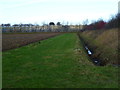 Drainage ditch, field and greenhouses east of Bosham