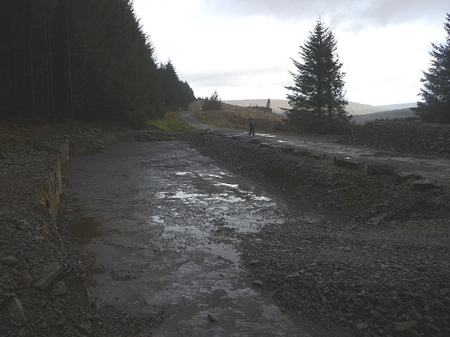 Quarried area by the forestry track