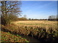 Tudeley Brook