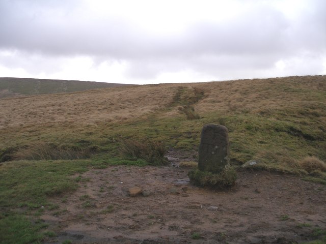 Boundary stone on Will Moor