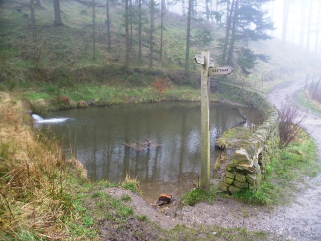 Small Dam in The Macclesfield Forest