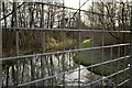 Coney Gut where it passes through a sluice gate