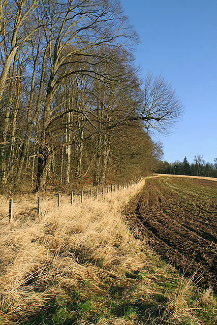 Farmland by Natives Wood