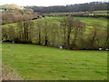 Slad Brook viewed from the B4070