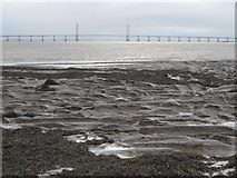 ST5490 : Sculptured mud flats, Severn Estuary by Andy Stott