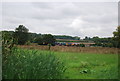 Train on the Medway Valley Line