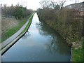 Coventry Canal from Peelers Way - view Northwards