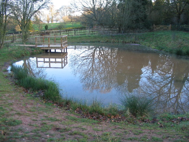 Pond, Allesley Park