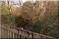 Looking upstream on Coney Gut from a footbridge near Tesco Petrol Station