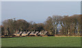 Roadside cottages at Easter Softlaw