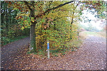 TR1263 : Cycle path and footpath junction, Clowes Wood by N Chadwick