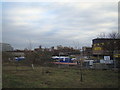 View of Canary Wharf from the Greenway