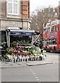 Flower stall, Old Church Street SW3