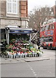 TQ2678 : Flower stall, Old Church Street SW3 by Robin Sones