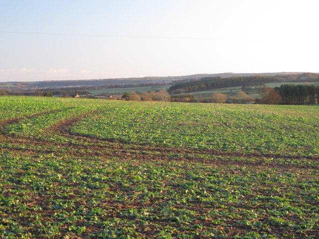 Farmland southwest of Kiln Pit Hill (2)