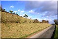 Road by Lingley Knoll