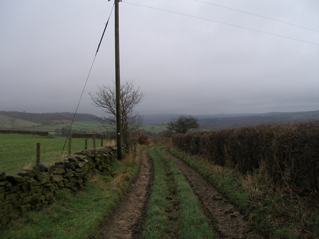 Bridleway near Field Head Farm
