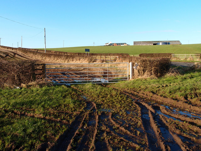 Field Gate, Raith Farm