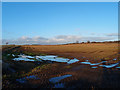 Stubble Field,Shawhill Farm