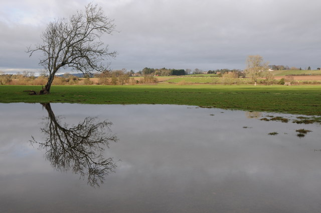 Floodwater on a meadow, Sellack