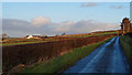 Minor Road near Baillieston Farm