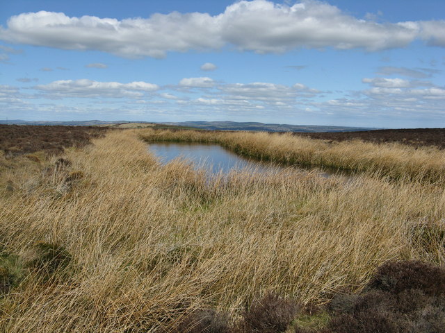 Pond between Curlethney Hill and Meikle Carewe Hill