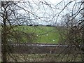 Looking through the trees to Leckethill