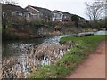 Great Western Canal