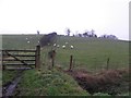 Ballyard Townland