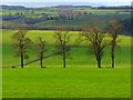 Farmland, Hesket